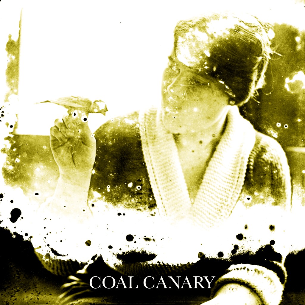 Coal Canary S/T